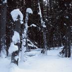 Natural Snow Sculptures
 /  